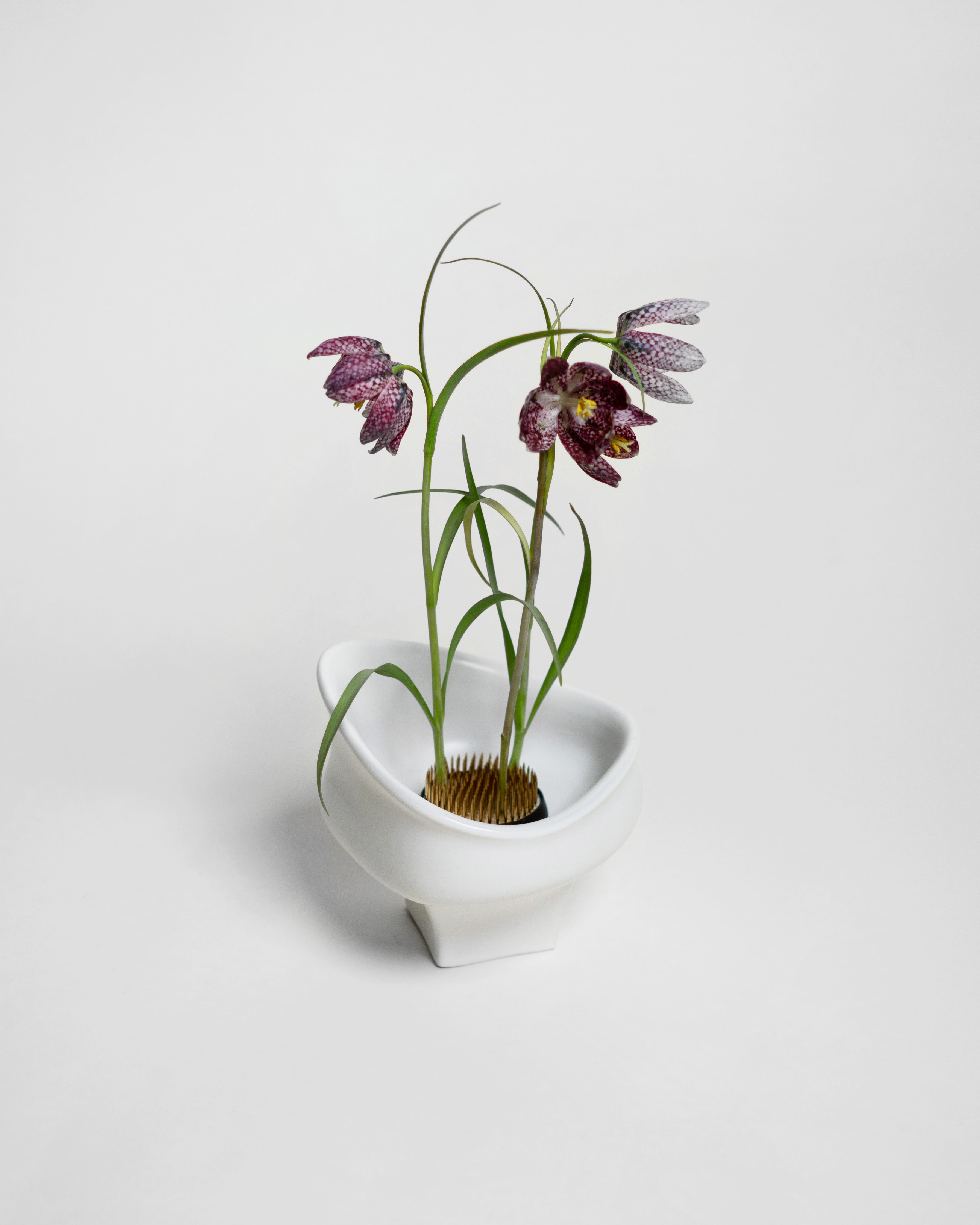 hein-studio-kenzan-60-mm-pique-fleurs-laiton image 2