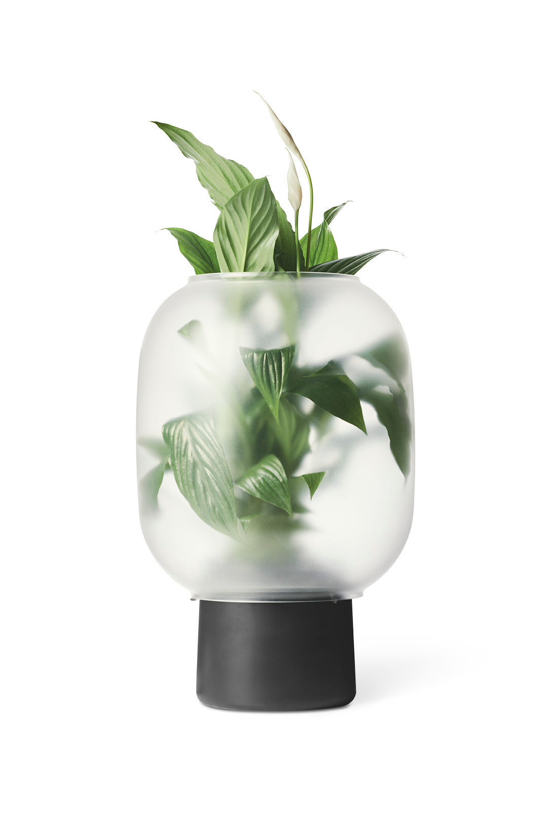 gejst-nebl-vase-pot-de-fleur-grand-noir image 1