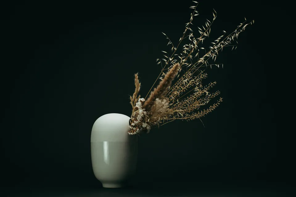c-cile-charroy-hanayo-vase-porcelaine-extra-blanche image 1