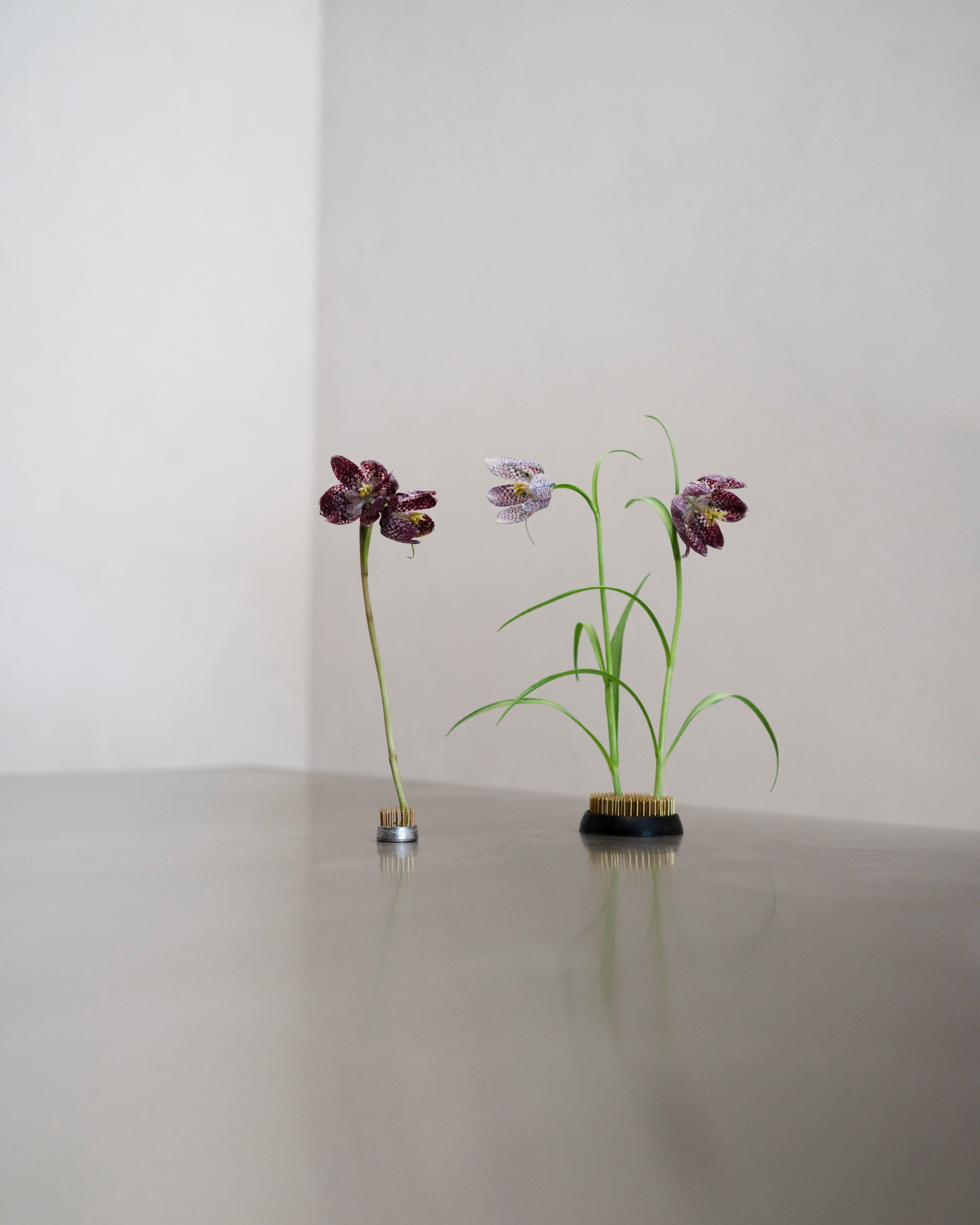 hein-studio-kenzan-pique-fleurs-laiton-23-mm image 5