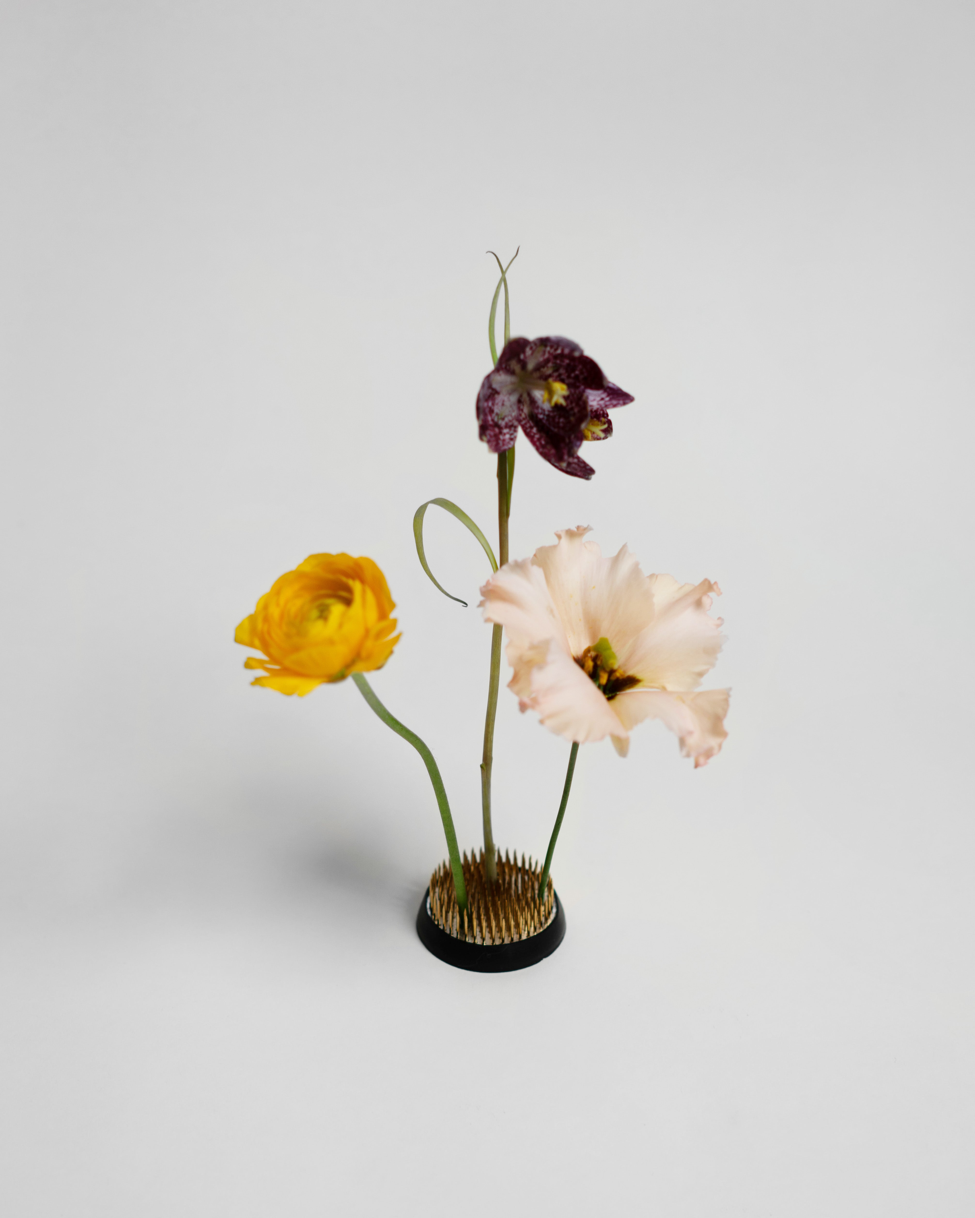 hein-studio-kenzan-60-mm-pique-fleurs-laiton image 3