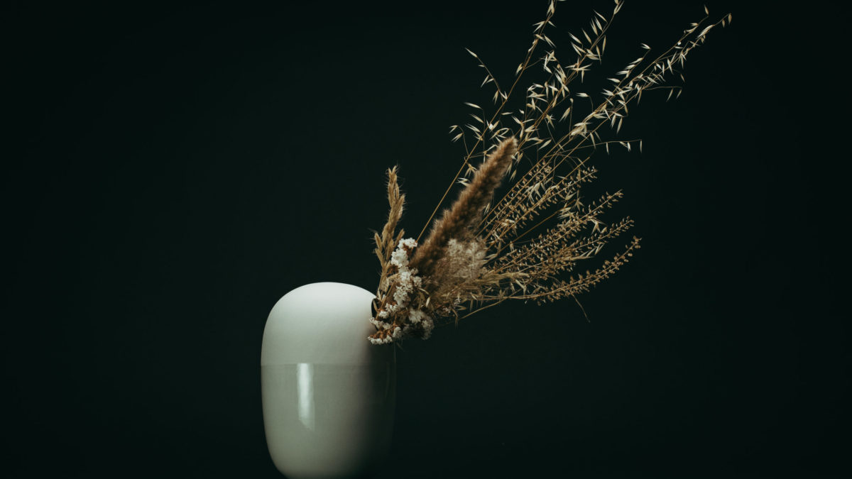 c-cile-charroy-hanayo-vase-porcelaine-extra-blanche image 3