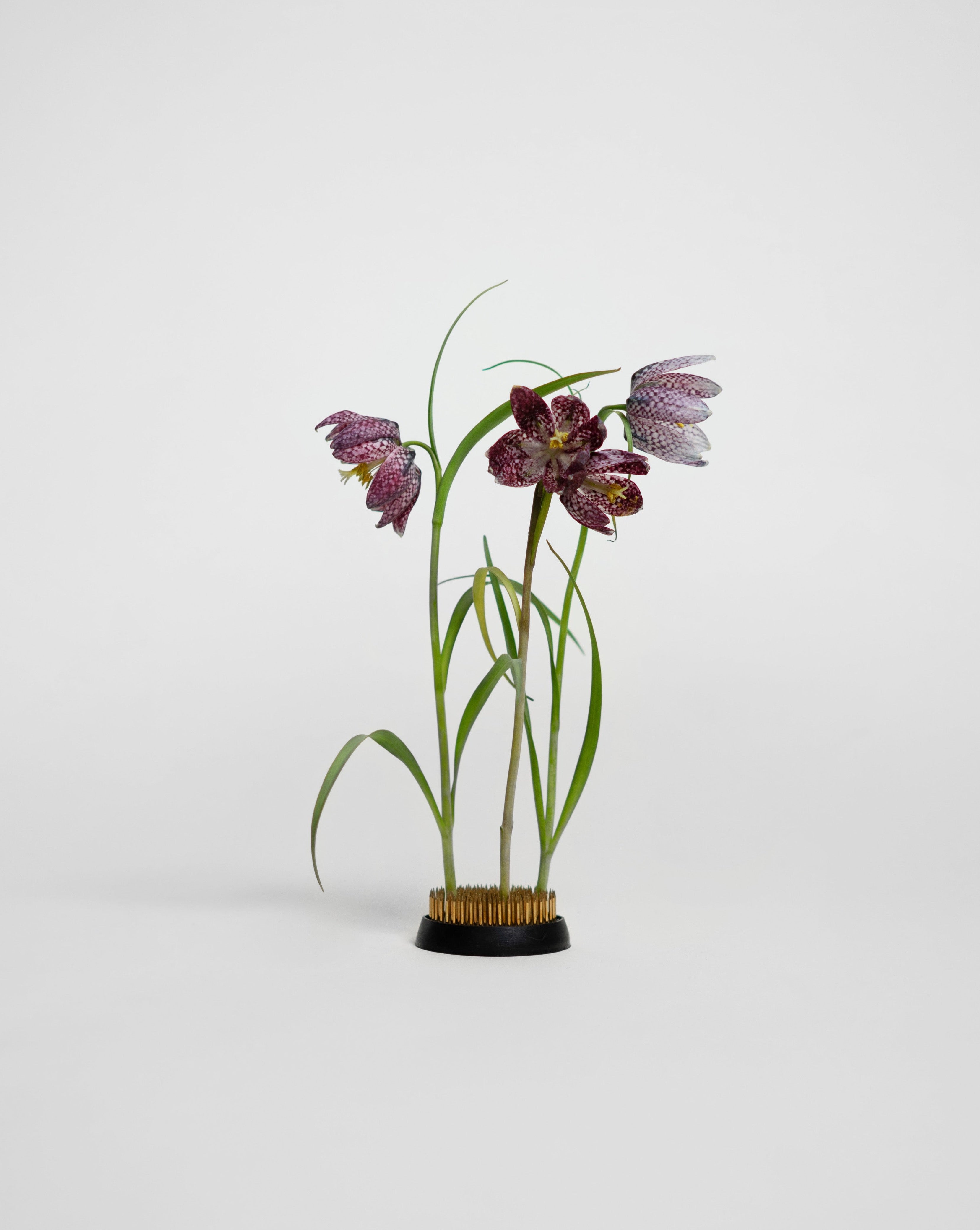 hein-studio-kenzan-60-mm-pique-fleurs-laiton image 1