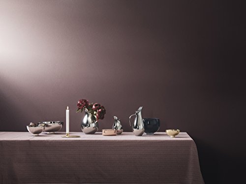 georg-jensen-arc-ilse-bol-inox-argent-16-cm-miroir image 5