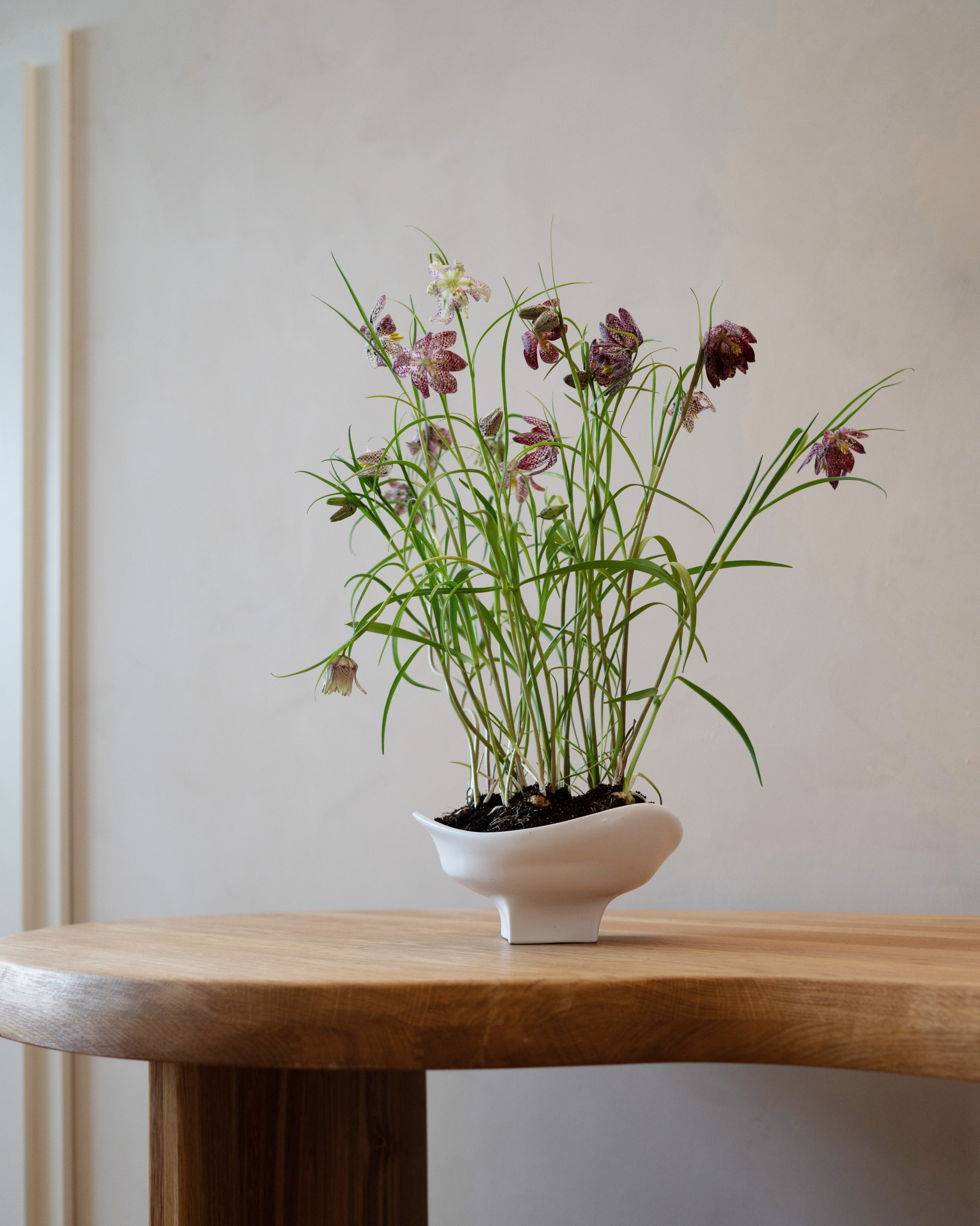 hein-studio-nami-bowl-large-bol-c-ramique-blanche image 6