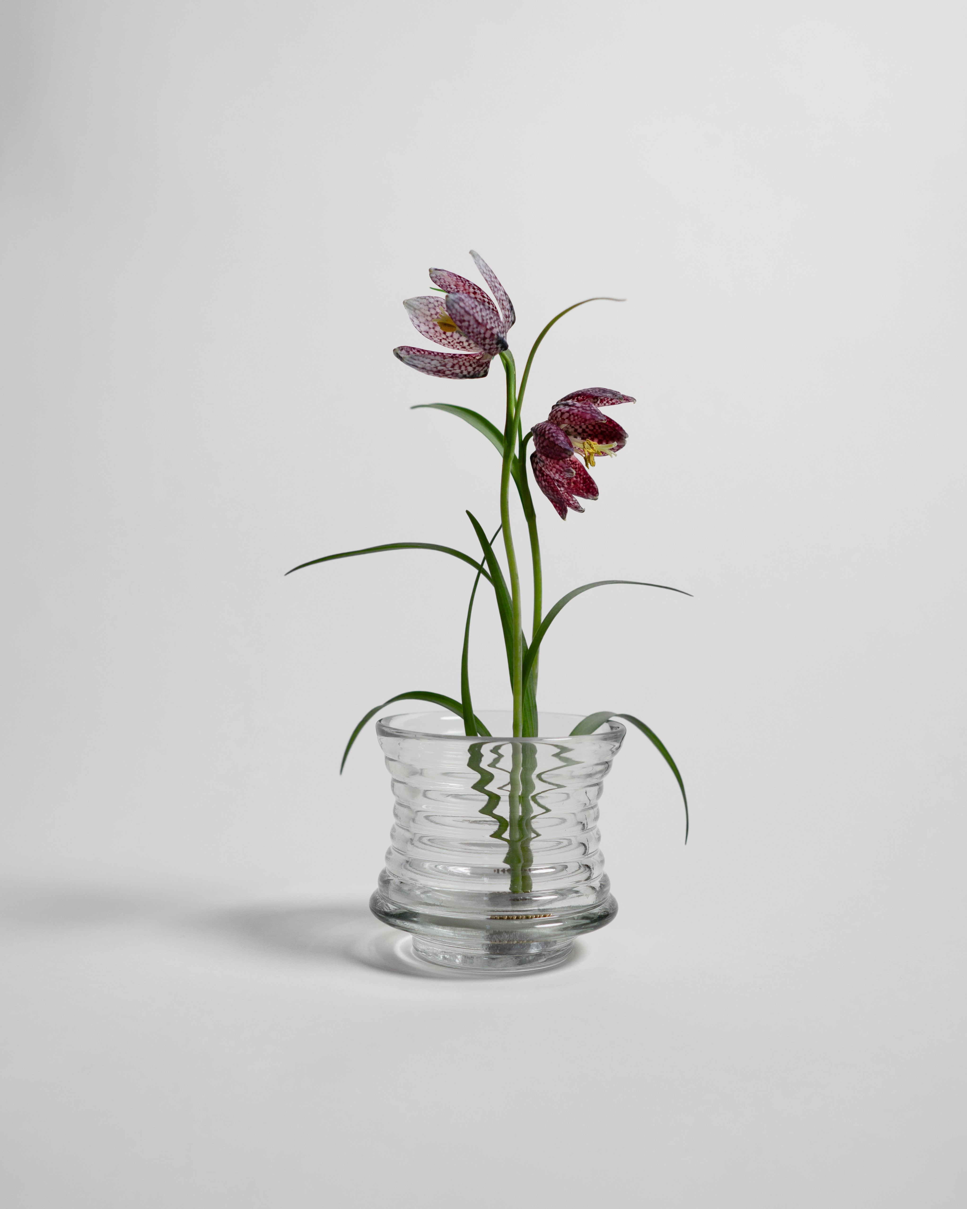 hein-studio-kenzan-pique-fleurs-laiton-23-mm image 3