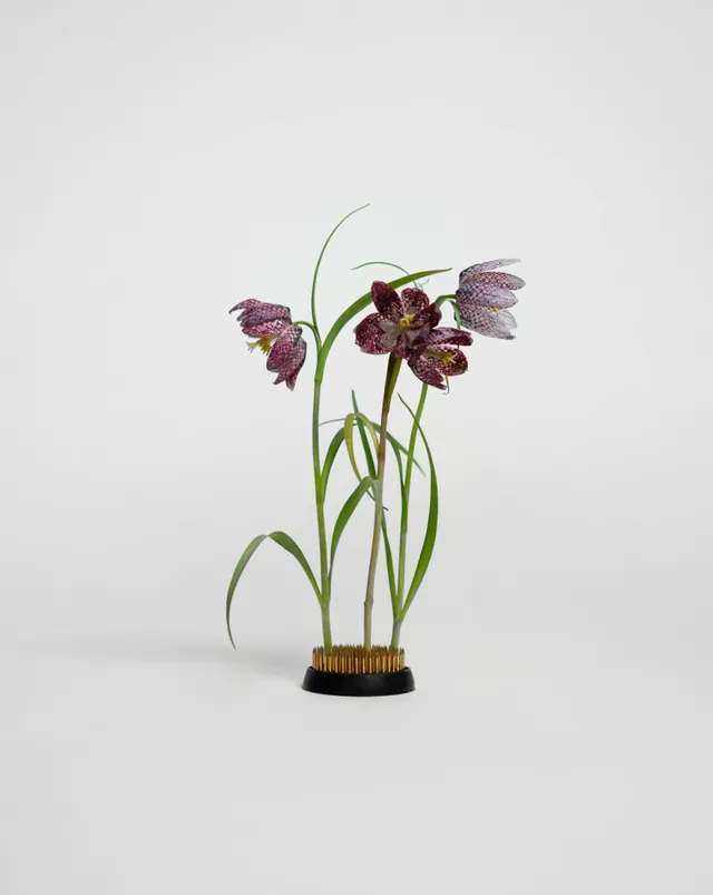 hein-studio-kenzan-60-mm-pique-fleurs-laiton image 1