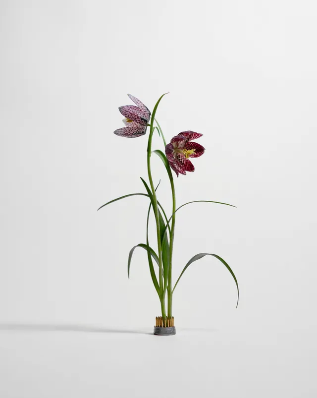 hein-studio-kenzan-pique-fleurs-laiton-23-mm image 1